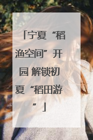 宁夏“稻渔空间”开园 解锁初夏“稻田游”