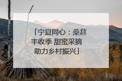 宁夏同心：桑葚丰收季 甜蜜采摘助力乡村振兴