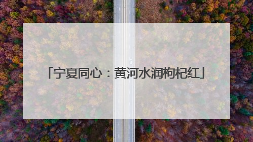 宁夏同心：黄河水润枸杞红