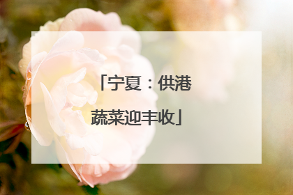 宁夏：供港蔬菜迎丰收
