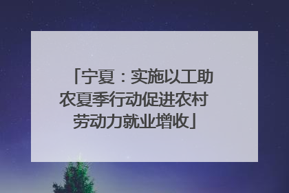 宁夏：实施以工助农夏季行动促进农村劳动力就业增收