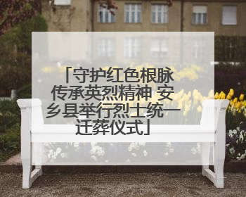 守护红色根脉 传承英烈精神 安乡县举行烈士统一迁葬仪式