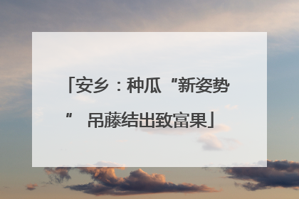 安乡：种瓜“新姿势” 吊藤结出致富果