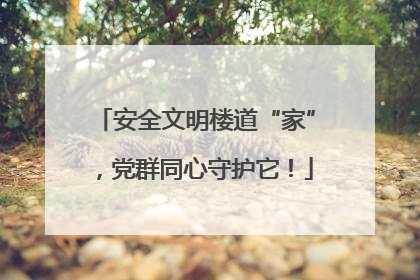安全文明楼道“家”，党群同心守护它！