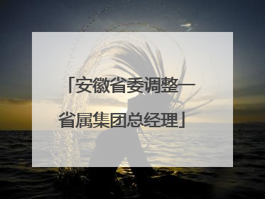 安徽省委调整一省属集团总经理
