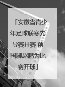 安徽省青少年足球联赛先导赛开赛 前国脚赵鹏为比赛开球