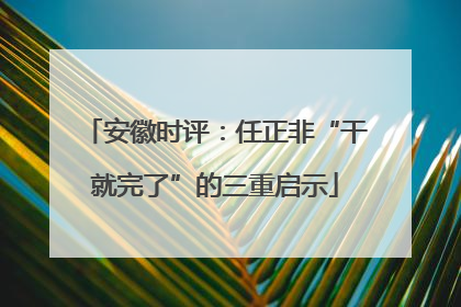 安徽时评：任正非“干就完了”的三重启示