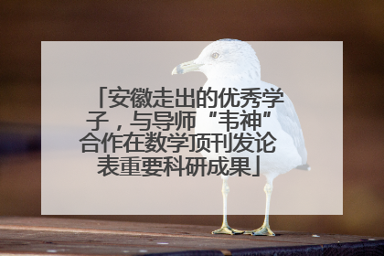 安徽走出的优秀学子，与导师“韦神”合作在数学顶刊发论表重要科研成果
