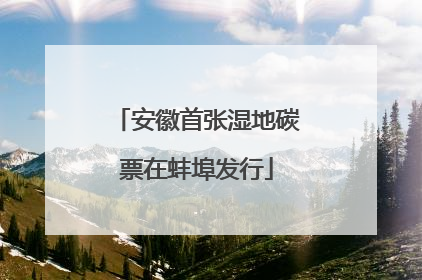 安徽首张湿地碳票在蚌埠发行