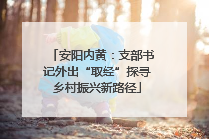安阳内黄：支部书记外出“取经”探寻乡村振兴新路径