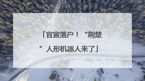 官宣落户！“荆楚”人形机器人来了
