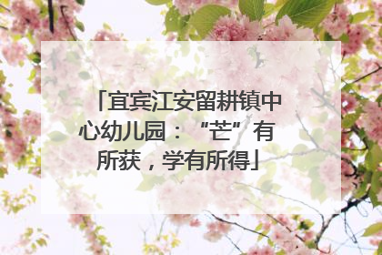 宜宾江安留耕镇中心幼儿园：“芒”有所获，学有所得