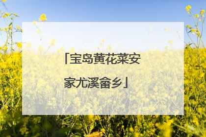 宝岛黄花菜安家尤溪畲乡