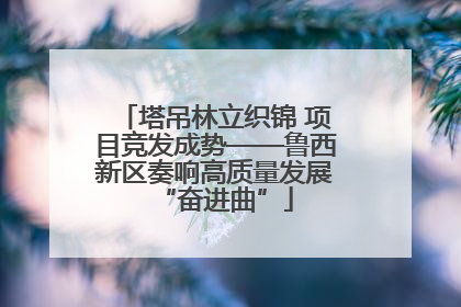 塔吊林立织锦 项目竞发成势——鲁西新区奏响高质量发展“奋进曲”