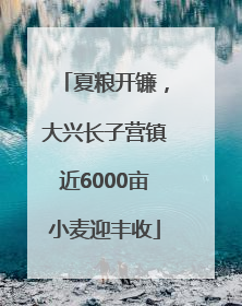 夏粮开镰，大兴长子营镇近6000亩小麦迎丰收
