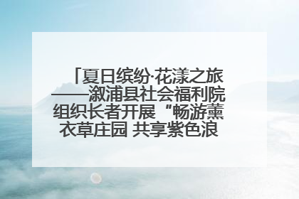 夏日缤纷·花漾之旅——溆浦县社会福利院组织长者开展“畅游薰衣草庄园 共享紫色浪漫”户外活动