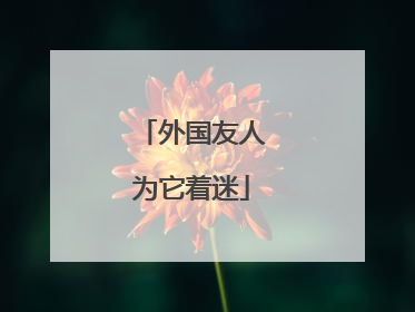 外国友人为它着迷