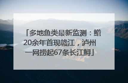 多地鱼类最新监测：鳤20余年首现赣江，泸州一网捞起67条长江鲟