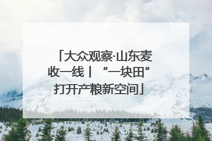 大众观察·山东麦收一线丨“一块田”打开产粮新空间