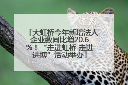 大虹桥今年新增法人企业数同比增20.6%！“走进虹桥 走进进博”活动举办