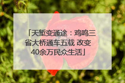天堑变通途：鸡鸣三省大桥通车五载 改变40余万民众生活