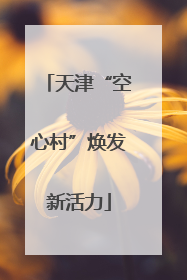 天津“空心村”焕发新活力