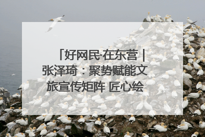 好网民·在东营｜张泽琦：聚势赋能文旅宣传矩阵 匠心绘就东营诗与远方