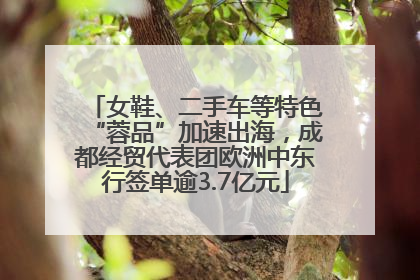 女鞋、二手车等特色“蓉品”加速出海，成都经贸代表团欧洲中东行签单逾3.7亿元