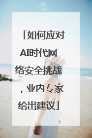 如何应对AI时代网络安全挑战，业内专家给出建议