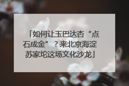 如何让玉巴达杏“点石成金”？来北京海淀苏家坨这场文化沙龙
