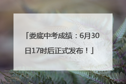 娄底中考成绩：6月30日17时后正式发布！
