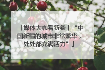 媒体大咖看新疆丨“中国新疆的城市非常繁华，处处都充满活力”
