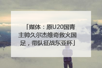媒体：原U20国青主帅久尔杰维奇救火国足，带队征战东亚杯