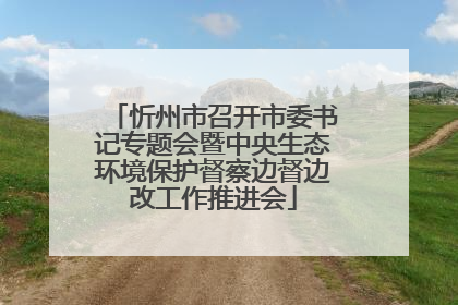 忻州市召开市委书记专题会暨中央生态环境保护督察边督边改工作推进会