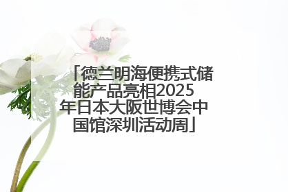 德兰明海便携式储能产品亮相2025年日本大阪世博会中国馆深圳活动周