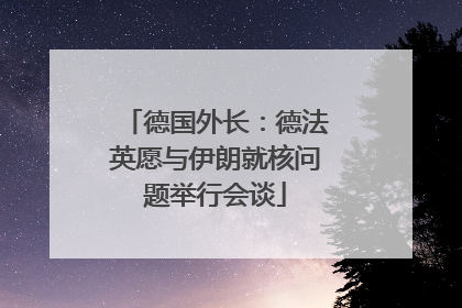 德国外长：德法英愿与伊朗就核问题举行会谈