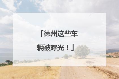 德州这些车辆被曝光！