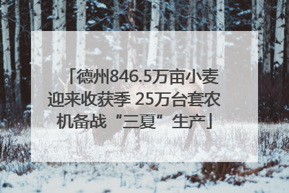 德州846.5万亩小麦迎来收获季 25万台套农机备战“三夏”生产