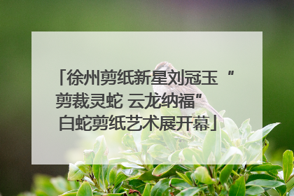 徐州剪纸新星刘冠玉“剪裁灵蛇 云龙纳福” 白蛇剪纸艺术展开幕