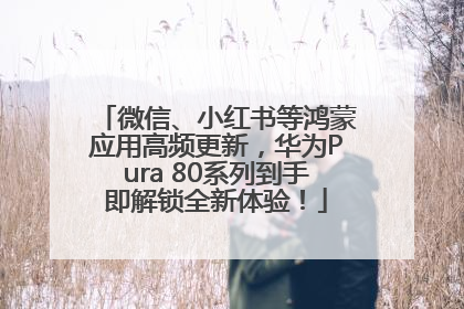 微信、小红书等鸿蒙应用高频更新，华为Pura 80系列到手即解锁全新体验！