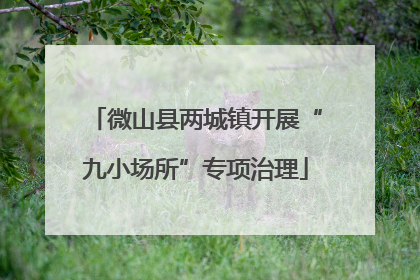 微山县两城镇开展“九小场所”专项治理