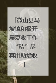 微山县马坡镇积极开展夏收工作 “秸”尽其用助增收