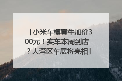 小米车模黄牛加价300元！实车本周到店？大湾区车展将亮相