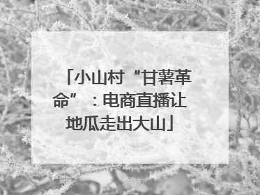 小山村“甘薯革命”：电商直播让地瓜走出大山