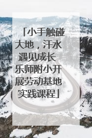 小手触碰大地，汗水遇见成长 乐师附小开展劳动基地实践课程