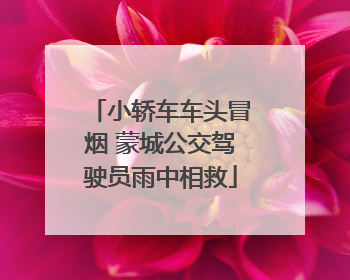 小轿车车头冒烟 蒙城公交驾驶员雨中相救