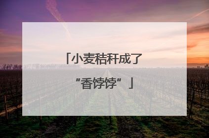 小麦秸秆成了“香饽饽”