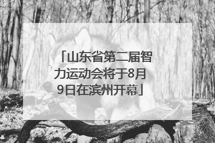 山东省第二届智力运动会将于8月9日在滨州开幕