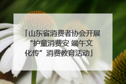 山东省消费者协会开展 “护童消费安 端午文化传”消费教育活动