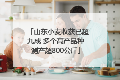 山东小麦收获已超九成 多个高产品种测产超800公斤